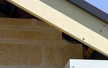 soffit repair Danesbury